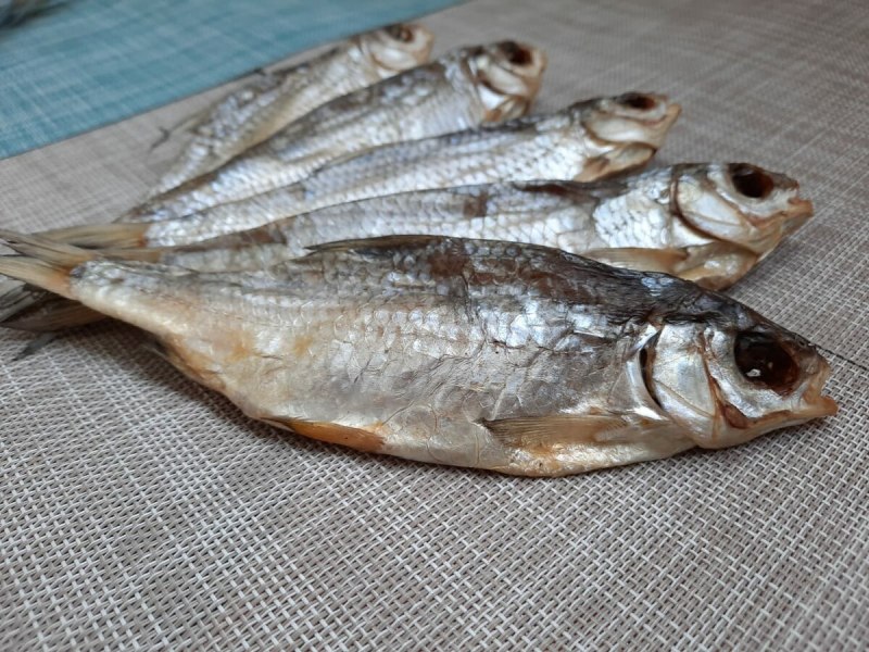 Лещ и чебак