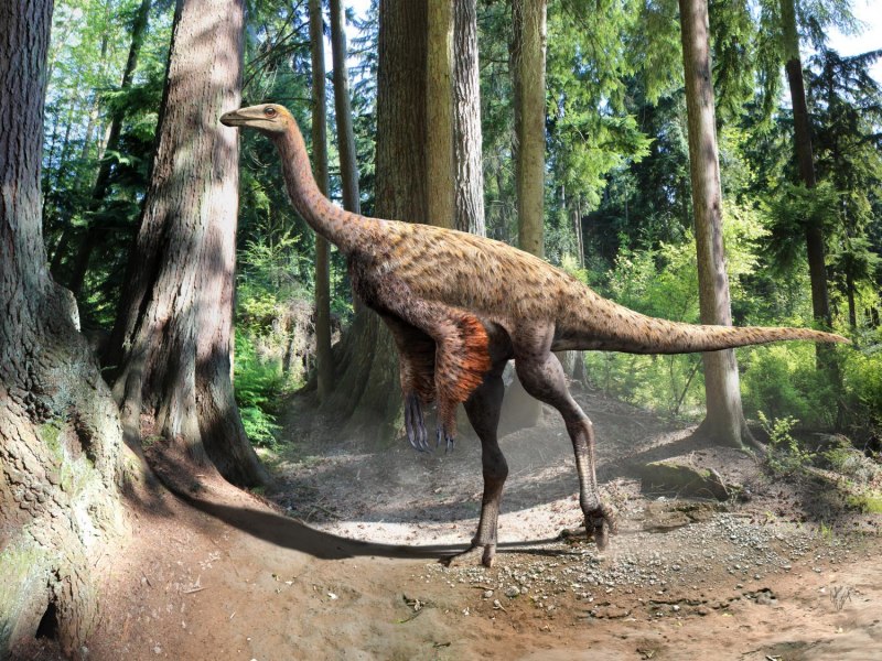 Sauroniops pachytholus