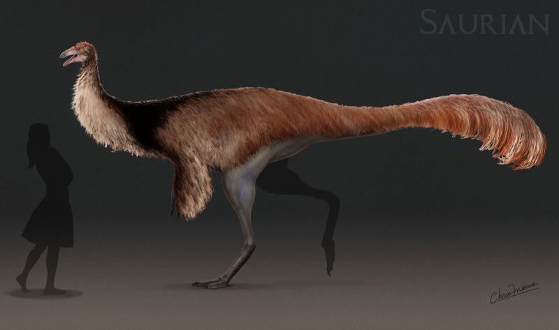 Saurian концепты