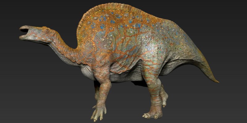 Ouranosaurus nigeriensis