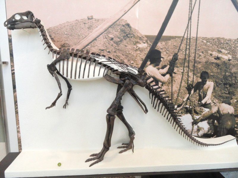 Prehistoric Kingdom динозавры