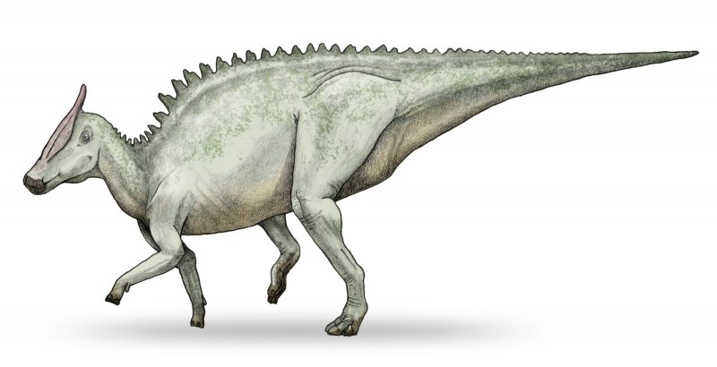 Динозавр Saurolophus