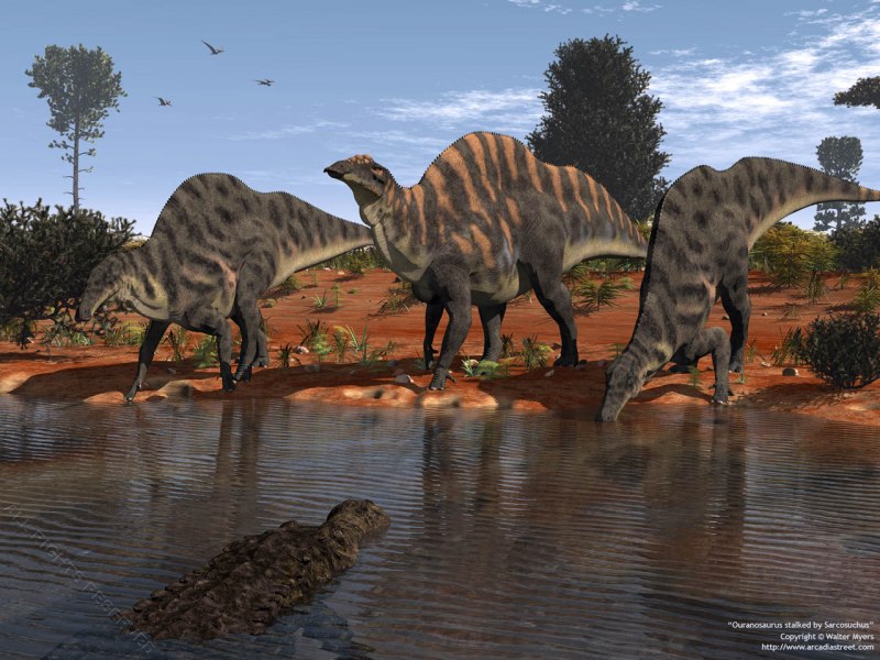 Camarillasaurus cirugedae