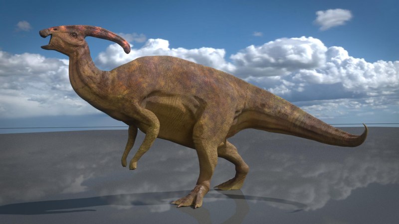 Reconstruction of spinosaride irirrator 2021