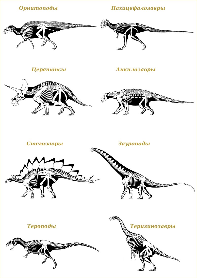 Ouranosaurus nigeriensis