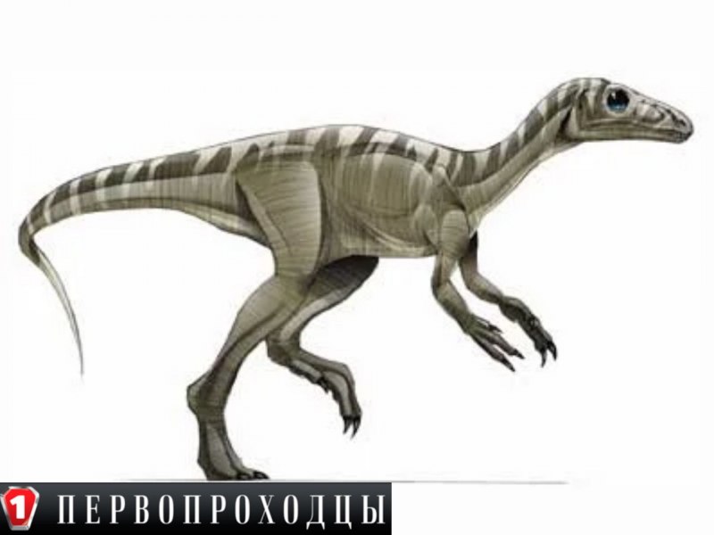 Целофизисы динозавры