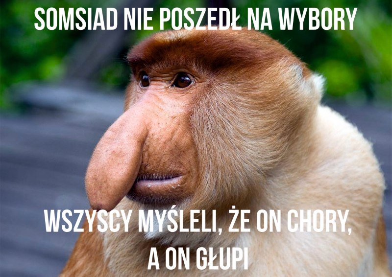 Самая уродливая обьящяна