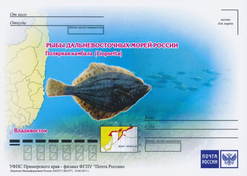 Камбала Мурманская пятнистая