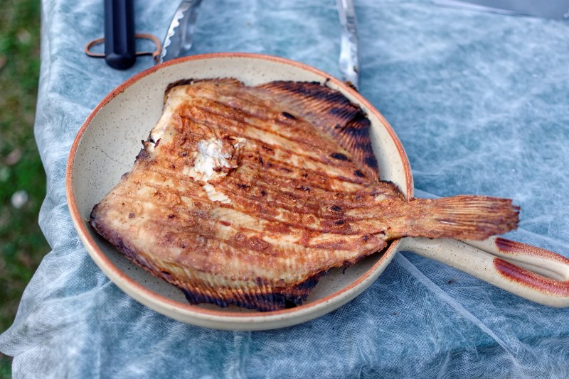 Морская камбала