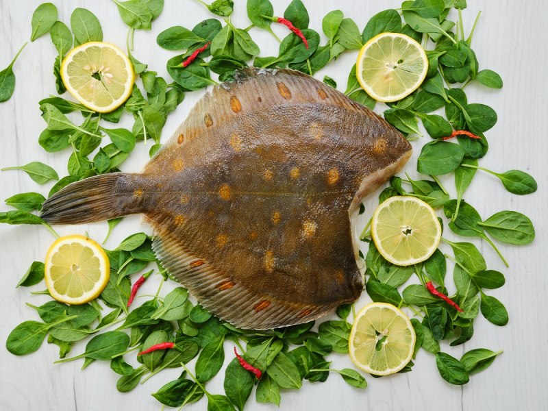 Морская рыба камбала