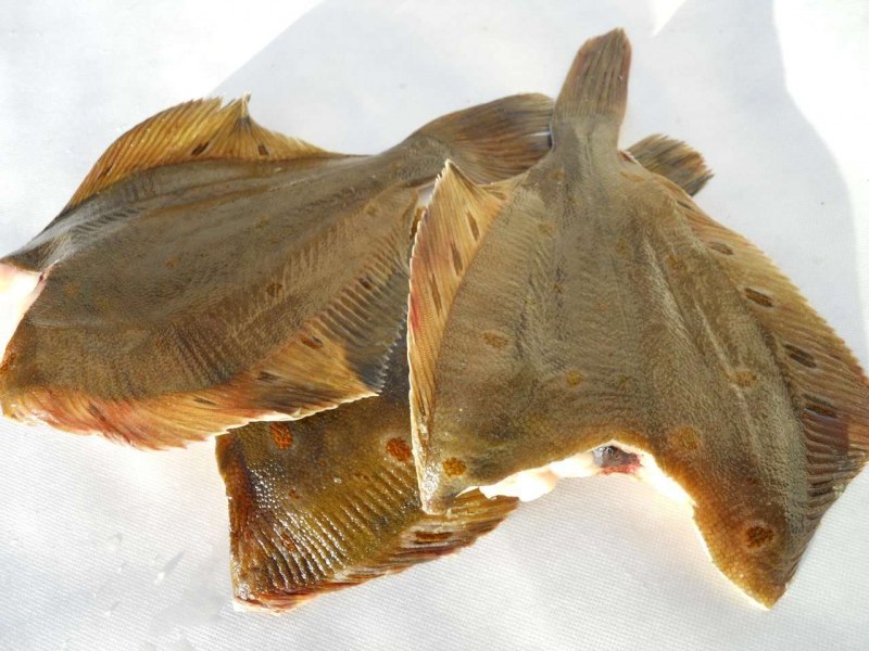 Рыба свежемороженая камбала