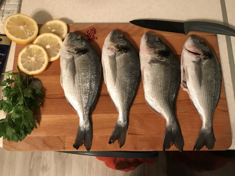 Ласкирь Черноморский (Зубарик)