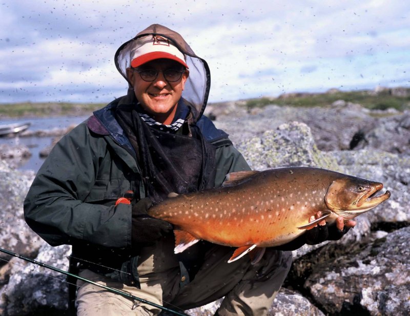 Salvelinus – гольцы