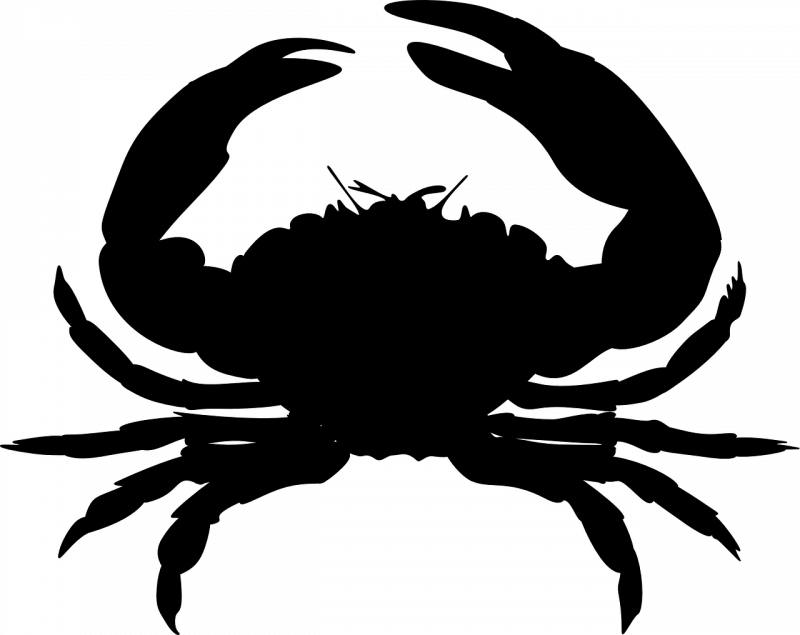 Краб знак зодиака