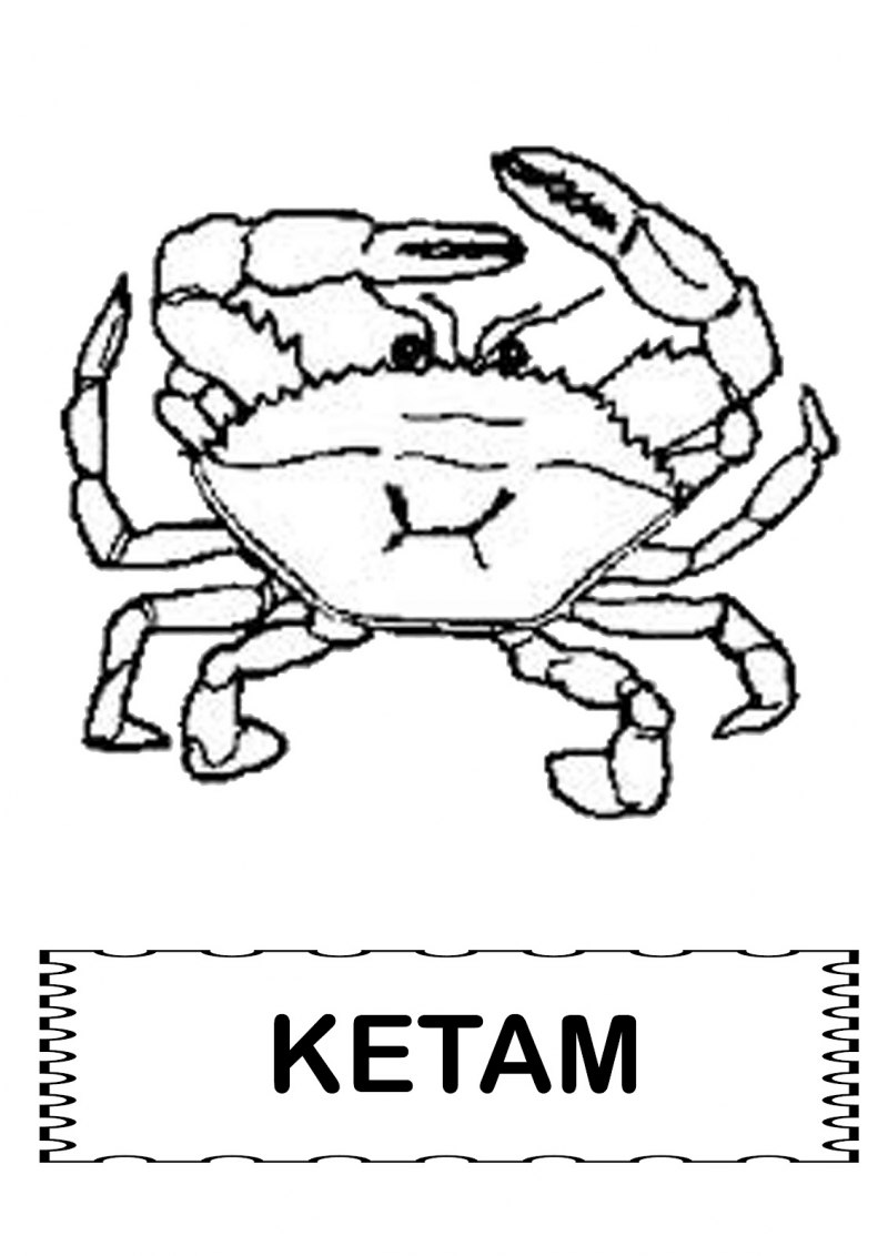 Краб вектор