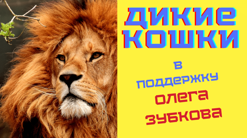 Иберийская (испанская) Рысь