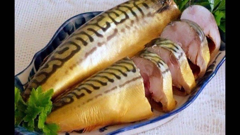 Скумбрия рисунок