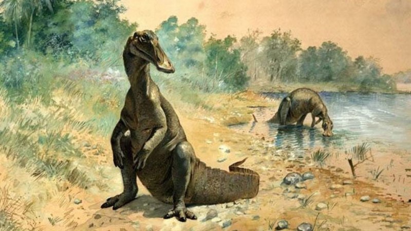 Hadrosaurus foulkii