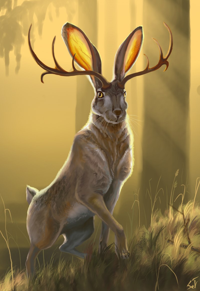 Jackalope мифология