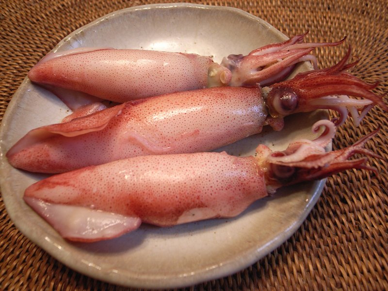 Кальмар арт