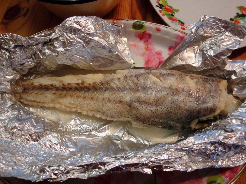 Macrourus berglax