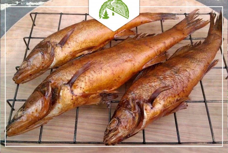 Зеркальный солнечник рыба