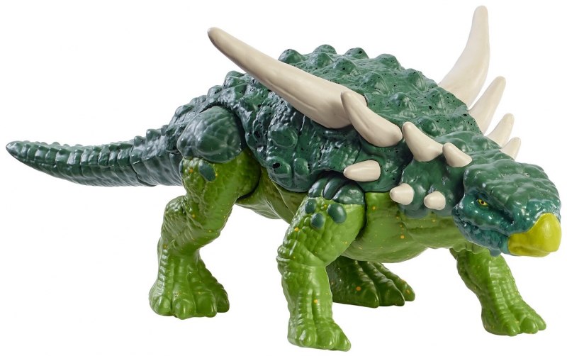 Shamosaurus scutatus