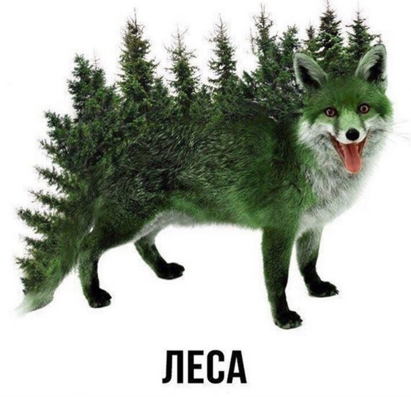 Зеленый фурри