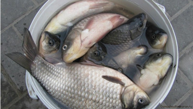 Сельдь Иваси морская рыба