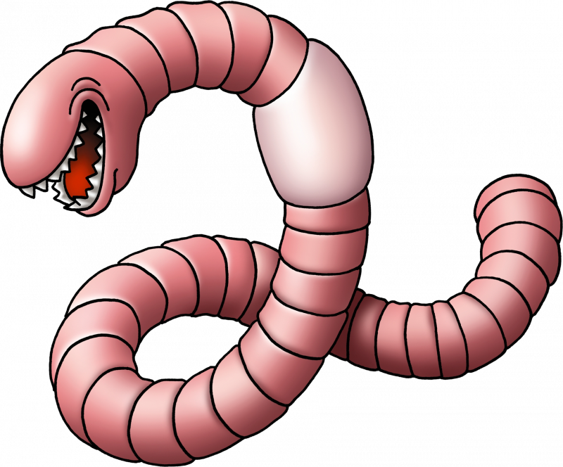 Красный червь (Lumbricus rubellus