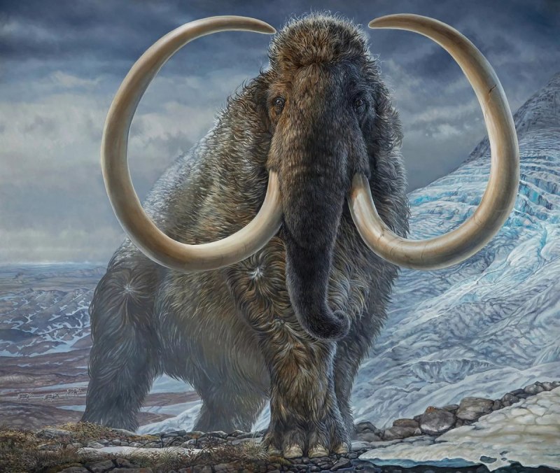 Mammuthus Woolly Mammoth