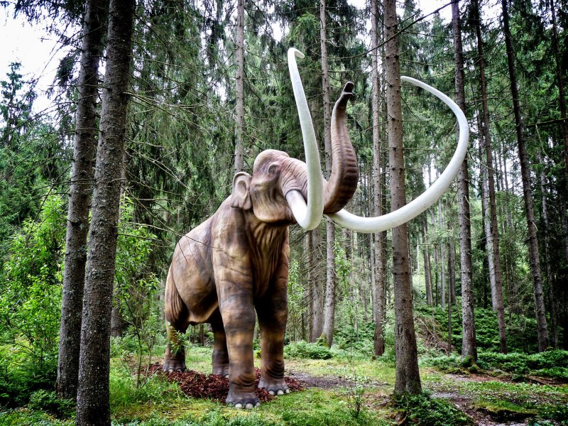 Колумбийский мамонт Mammuthus Columbi