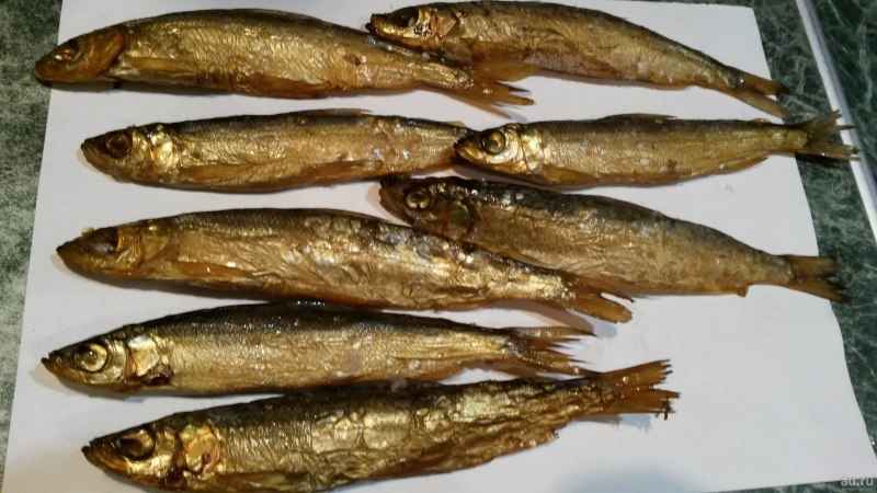 Морская малоротая корюшка
