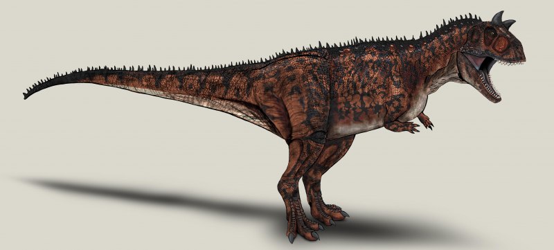 Carnotaurus sastrei skeletal