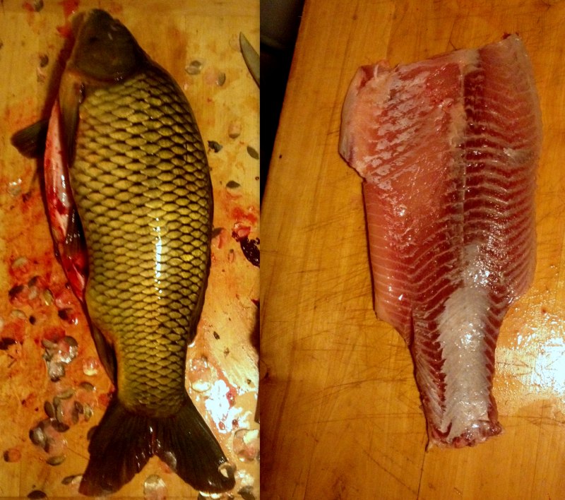 Морской сазан