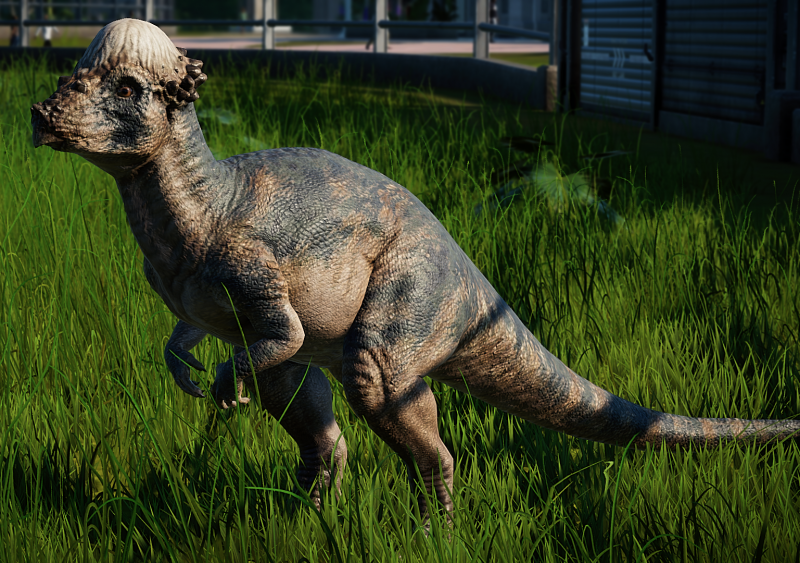 Динозавр пахицефалозавр (68 фото)