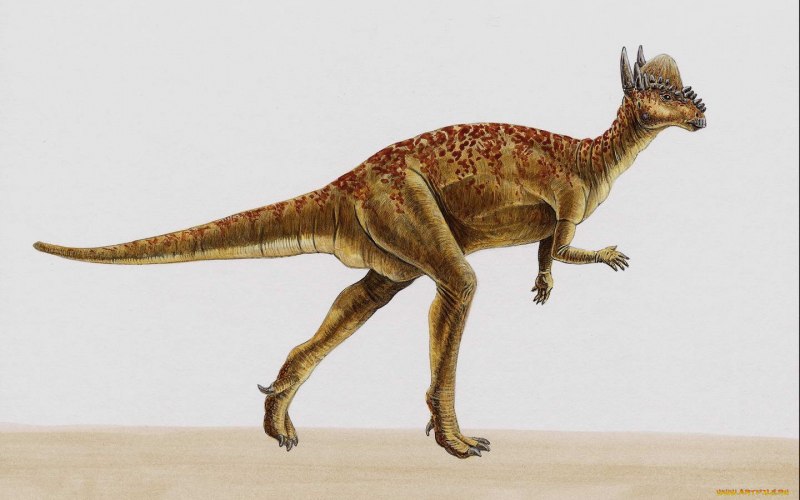 Saurian Pachycephalosaurus
