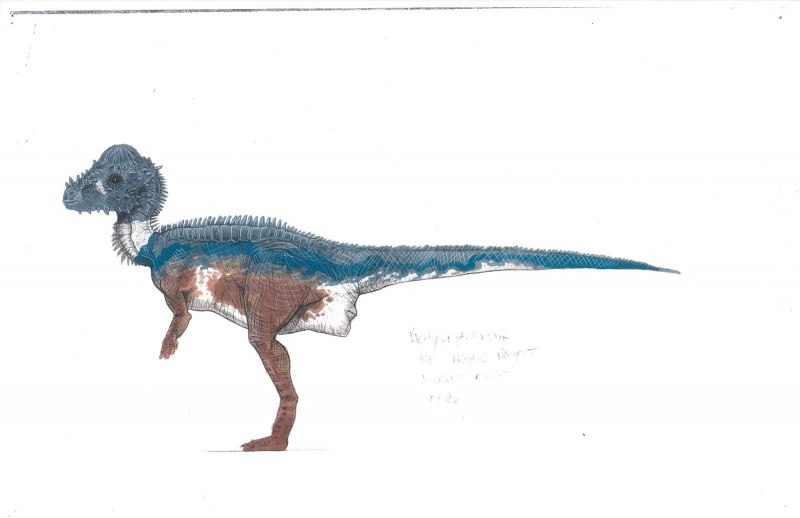 Dracorex hogwartsia
