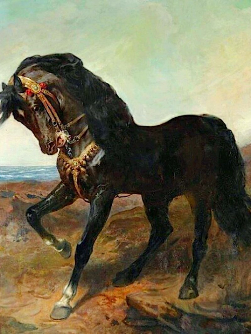Арабская лошадь (арабский скакун)