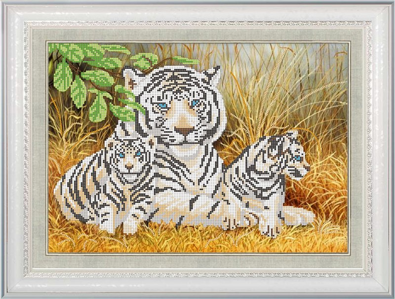 Риолис бенгальский тигр