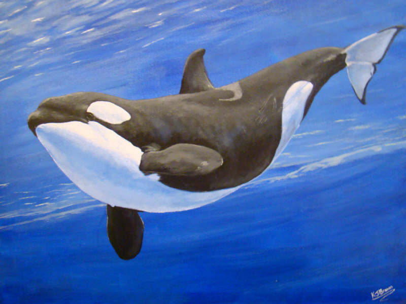 Касатка (2020) (Orca)