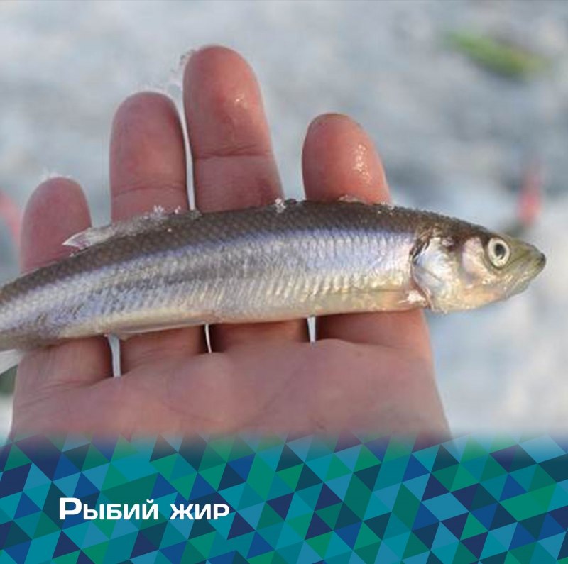 Речная малоротая корюшка