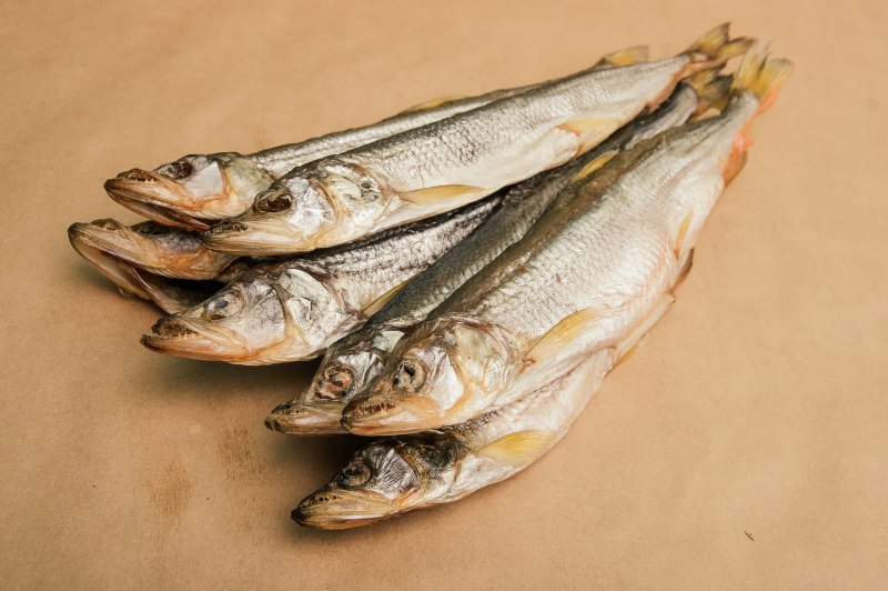 Корюшка европейская Osmerus eperlanus