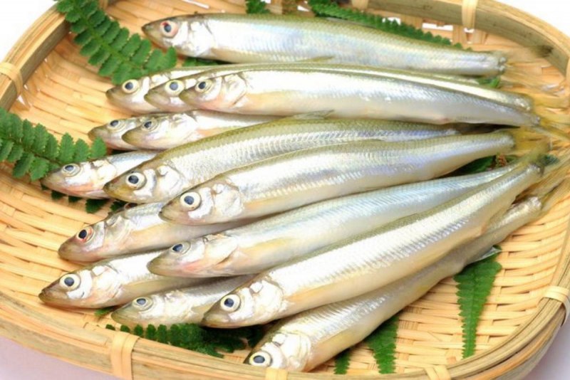 Японская малоротая корюшка
