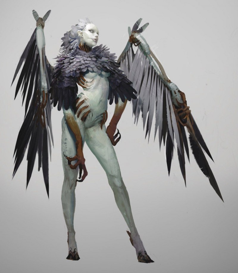 Monster girl Encyclopedia гарпии