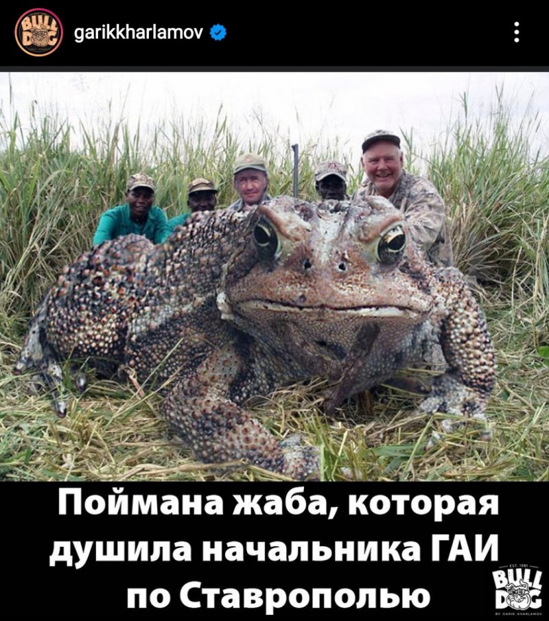 Жук Голиаф