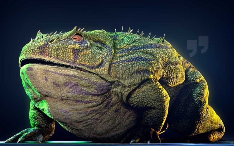 Beelzebufo Ampinga