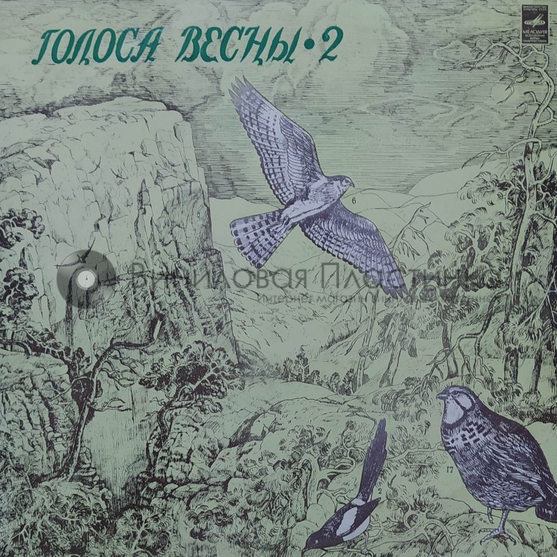 Певчие воробьиные Вьюрковые