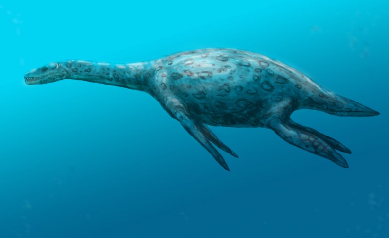 Shonisaurus sikanniensis