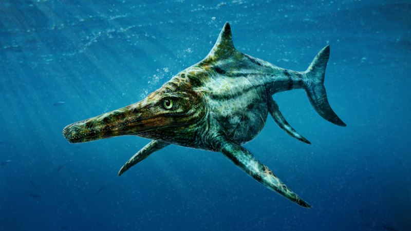 Морские динозавры Ихтиозавр